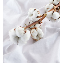 PROTECTOR COTTON IMPERMEABLE Y TRANSPIRABLE