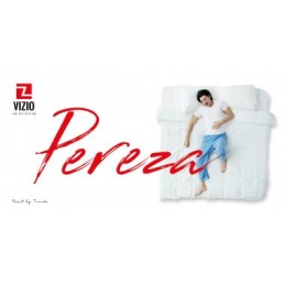 COLCHONES COLECCION VIZIO