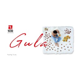 COLCHONES COLECCION VIZIO