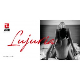 COLCHONES COLECCION VIZIO